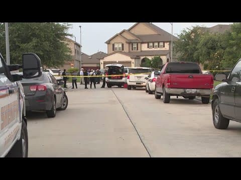 Deputies shoot suspect who pointed gun at them while drinking, Harris County Pct. 1 says