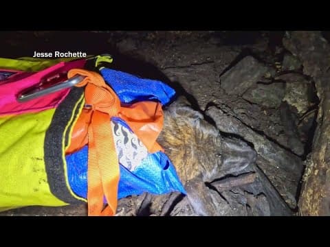 Cavers rescue dog from 50-foot cave in Virginia