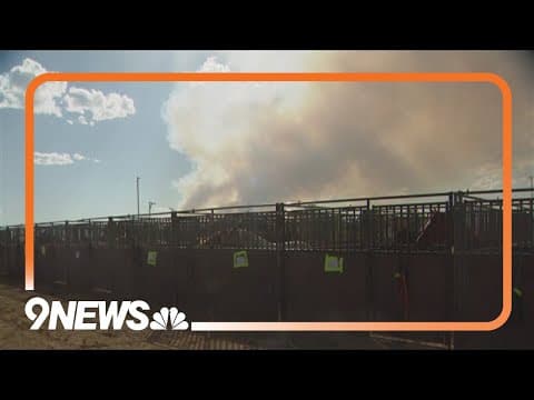 Volunteers help large animals as Alexander Mountain Fire grows
