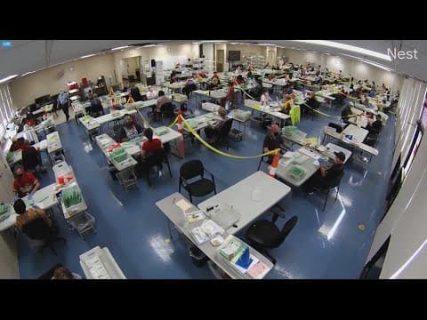 One year away from the presidential election