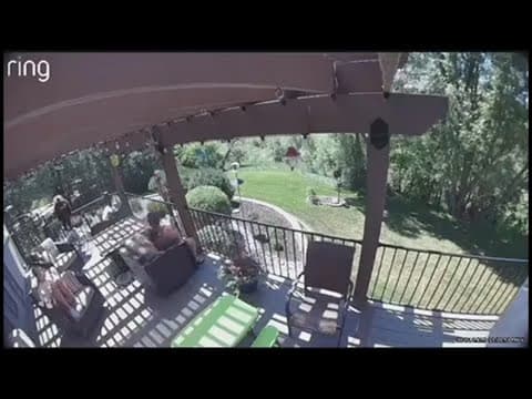 Sneaky bear startles family relaxing on deck in Castle Rock