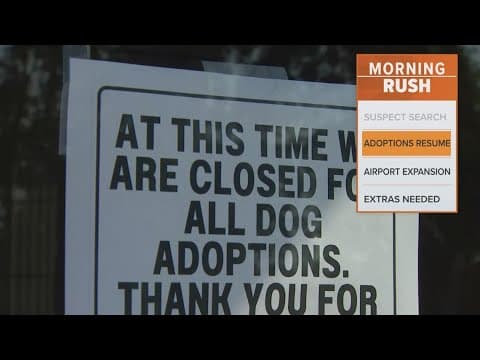 Dog adoptions resume at Collin County Animal Services