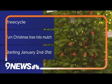 Where to do go recycle your Christmas tree in the Denver metro area