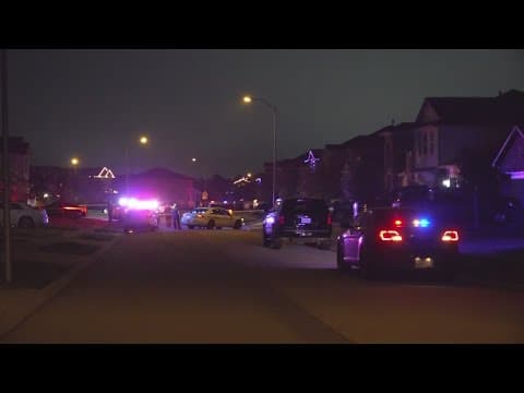 HCSO deputy survives after being shot by teen who was breaking into cars, sheriff says