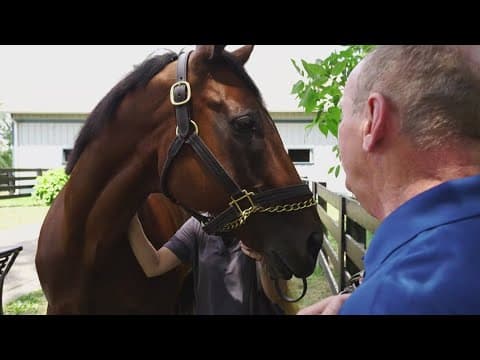 Chuck's Big Adventure in Kentucky: Kentucky Horse Park