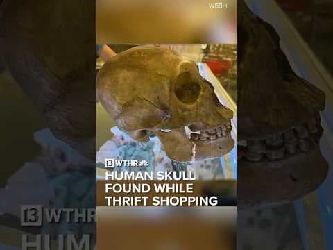 Real human skull found by customer while thrift shopping