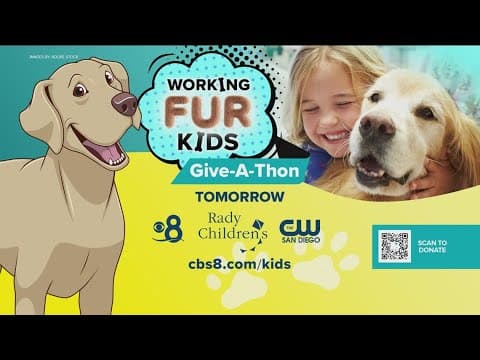 Working Fur Kids Giveathon June 5 | Help launch Rady Children's  Resident Canine Therapy Program