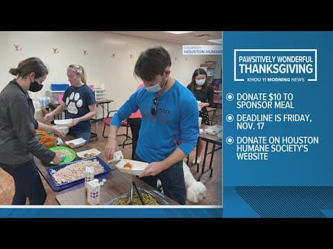 $10 donations to Houston Human Society sponsor special Thanksgiving meals for shelter animals
