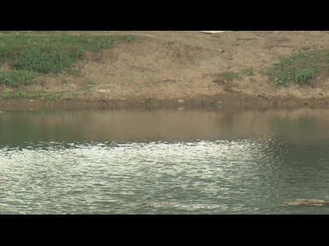 Open water swimming warnings for parents