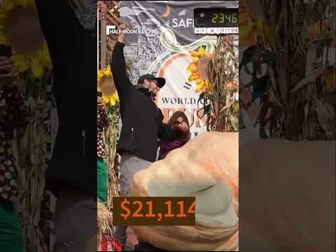 Four pumpkins made the finals at the 52nd annual half-moon Bay World Championship Pumpkin Weigh-off