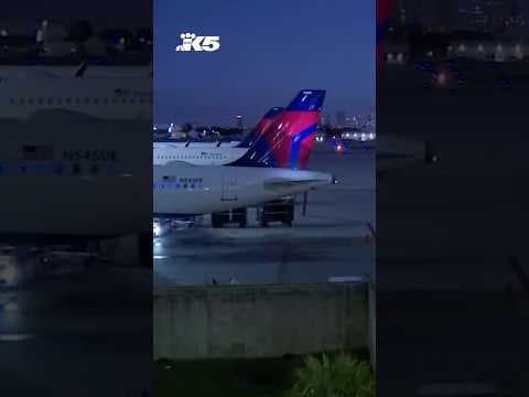 2 people found dead inside plane's landing gear