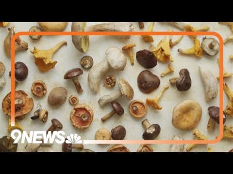 Study: More Americans are using magic mushrooms