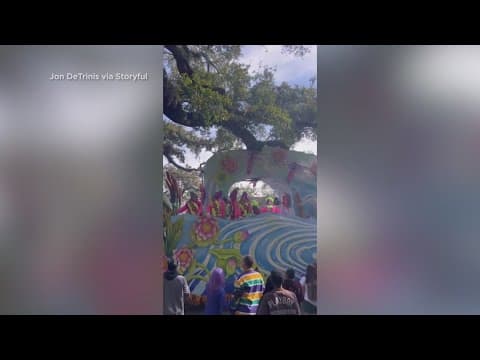 Rex float hits oak tree on Mardi Gras Day