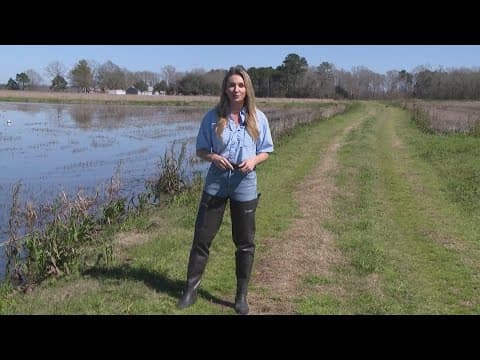 Mugbugs, from pond to plate: Here's where your crawfish come from