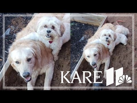 Your Good News: Bob, Lori