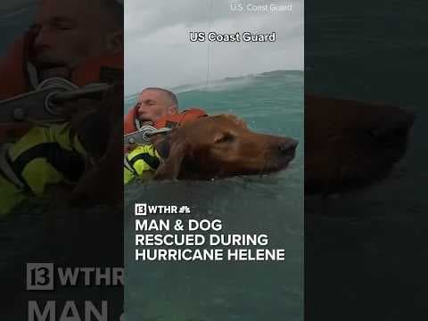 Man and dog rescued by U.S. Coast Guard during Hurricane Helene