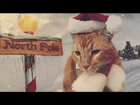 What holiday staples are dangerous for your pets?