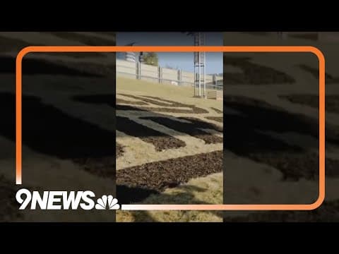 Bluegrass musician Billy Strings has logo art installed at Colorado ampitheater