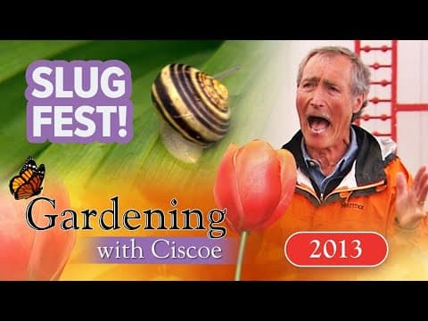 SLUG IT OUT! How to Keep Snails & Slugs Out of Your Garden! | Gardening With Ciscoe | Full Episode