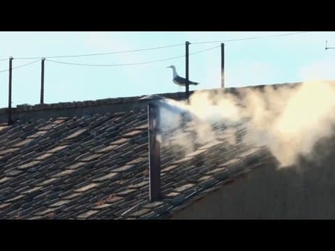 New pope | Watch the moment white smoke emerges from the Sistine Chapel