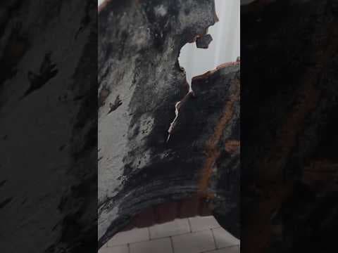 Russia used at least 20 North Korean ballistic missiles in attacks on Ukraine, Kyiv says