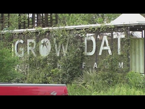 City Park's plan could impact Grow Dat