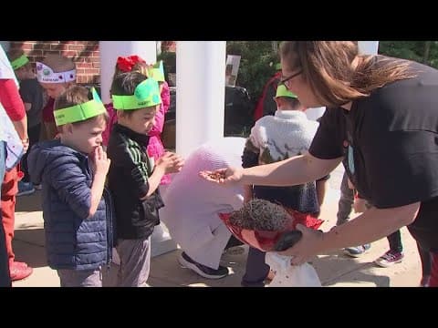 Hilliard school releases thousands of ladybugs outside to show kids importance of nature