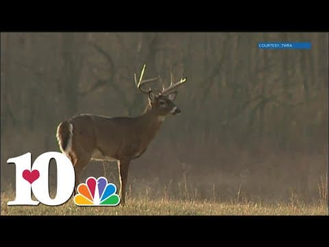 New online tools available to help document, track and manage spread of CWD in wildlife