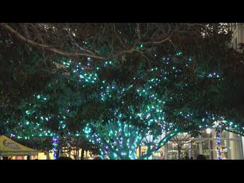 Singing tree returns to Arlington neighborhood | Get Uplifted