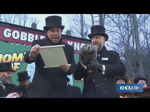 Did Punxsutawney Phil see his shadow?  Here's his 2025 prediction
