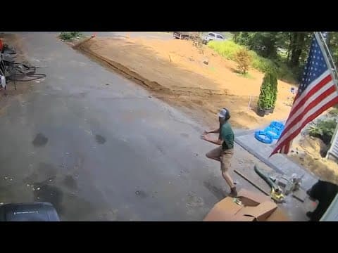 VIDEO: Man shocked by bear in Connecticut garage