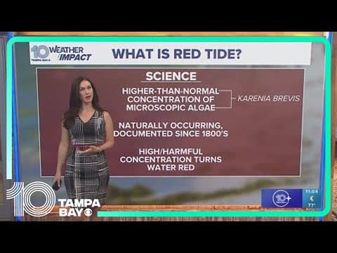 Red tide detected in Gulf of Mexico