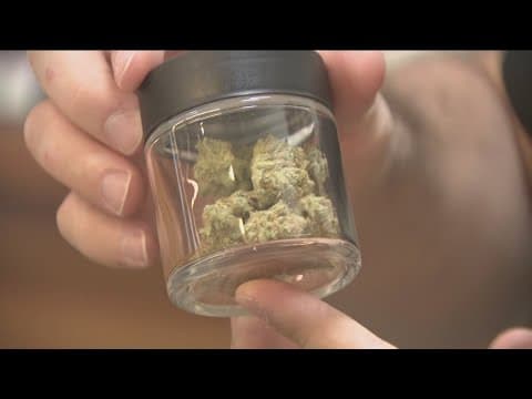 Applications for San Diego County's cannabis social equity program are open