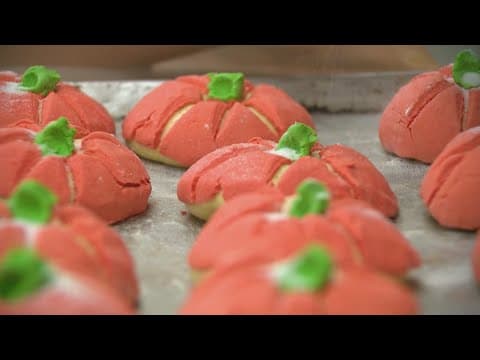 Pumpkin spice conchas | How a Houston bakery's twist on fall favorite went viral