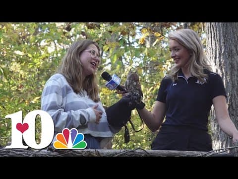 Ijams Nature Center hosting Hallo-week activities