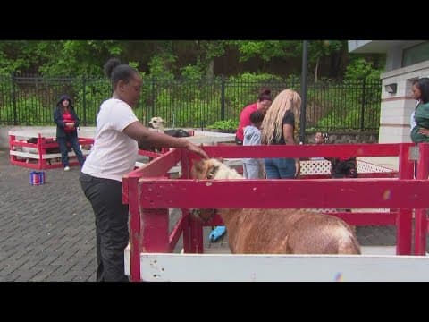 Petting zoo during enrollment at DC Public Schools