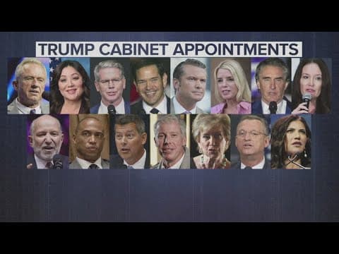 President-elect Donald Trump nominates several cabinet positions