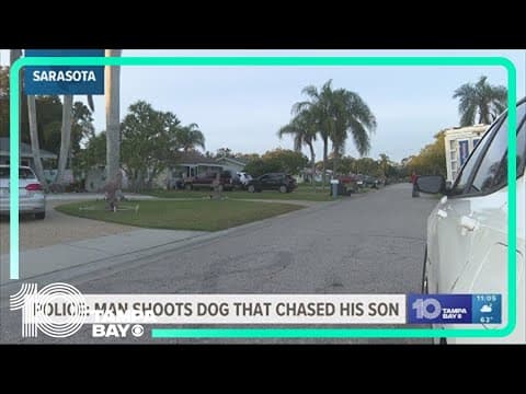 Police: Sarasota man shoots dog that chased his son