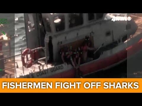 Missing boaters found fighting off sharks in Gulf of Mexico; Coast Guard rescue