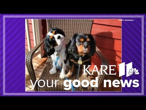Your Good News: Kind cross-stitcher, healing pup and Mrs. MN contestant