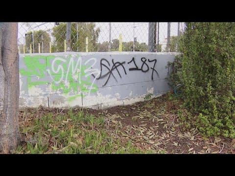 Church in Mount Hope asks for the community's help after string of graffiti, vandalism