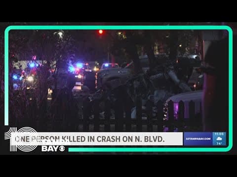 Deadly crash involving TECO pole shuts down part of W Waters Avenue