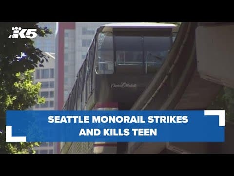 14-year-old boy spray painting building struck and killed by Seattle monorail