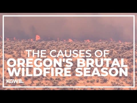 Climate change, weather and fuel buildup contributing to severe Oregon wildfire season