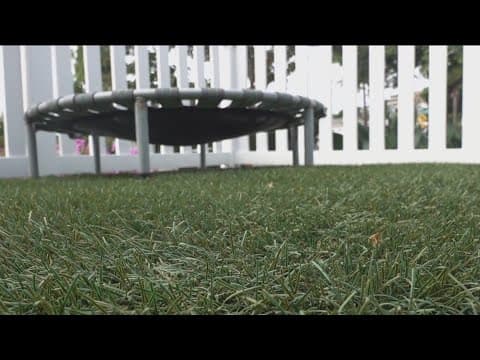 New CA law could allow local governments to ban artificial grass