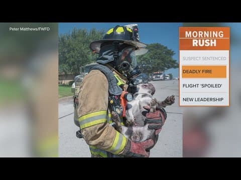 Dog dies in a residential house fire, according to Fort Worth Fire