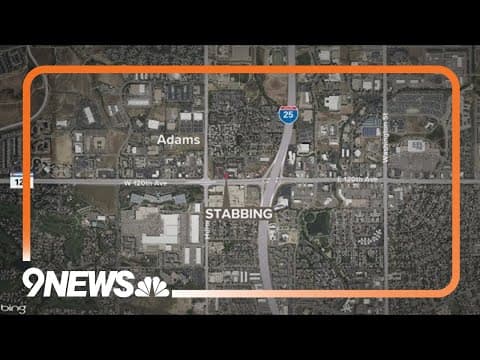 Man wanted in deadly Westminster stabbing