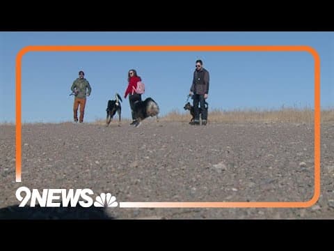 Keeping your pets safe while exercising