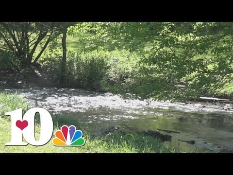 Ijams Nature Center hosting River Rescue event