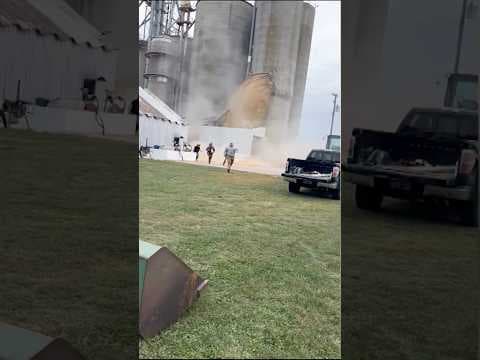 Grain silo collapses in Illinois